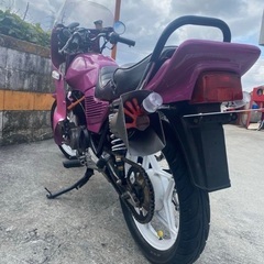 ゴキ　gsx ゼファー　xjr pcx v125g v100の画像
