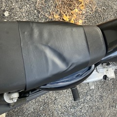 グラストラッカー の画像