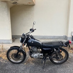 グラストラッカー の画像