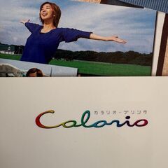 優香　エプソン　プリンタ　カタログ　切り抜き　18枚の画像