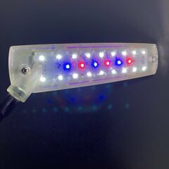 【GEX（ジェックス）】クリアLED エコリオ アーム カラーの画像