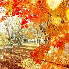 関東メンバー募集♪