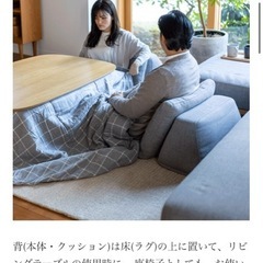 Fumi(フミ) / 無駄のないソファ / 背(本体・クッション) セットの画像