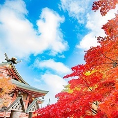 雑談グル☆関東メンバー募集〜♪