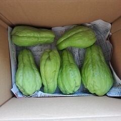 無人販売　レモン、柚子、ハヤトウリ、紫山芋の画像