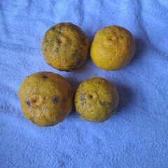 無人販売　レモン、柚子、ハヤトウリ、紫山芋の画像