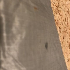 Muraco ムラコ NIMBUS 2P ニンバス2P キャンプ アウトドア テントの画像