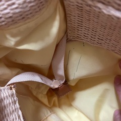 ディズニーリゾートバッグ2種【ジャンク】の画像