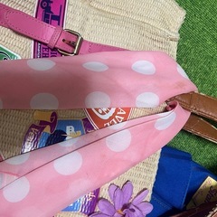 ディズニーリゾートバッグ2種【ジャンク】の画像