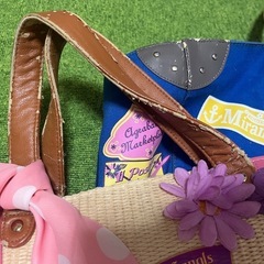 ディズニーリゾートバッグ2種【ジャンク】の画像