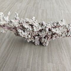 ライブロック(デスロック) 自作品の画像