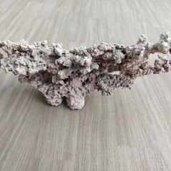 ライブロック(デスロック) 自作品の画像