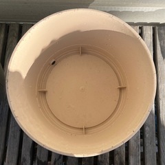 木目調　ガーデニングポット　ベージュ　丸型の画像