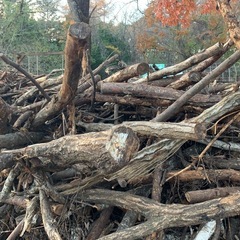 薪にどうですか？の画像