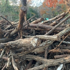 薪にどうですか？の画像