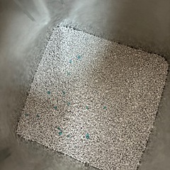 ネコ砂の画像