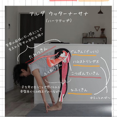 【新所沢ヨガ】ハタヨガベーシッククラス12月体験会開催しますの画像