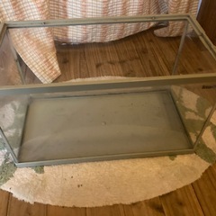 ［決定しました］水槽３つの画像