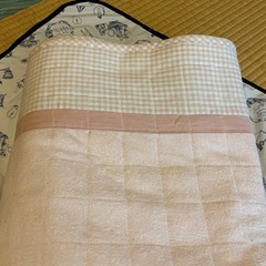 180×110 ピンクかーprカーペットの画像