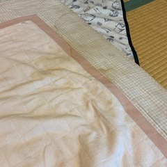 180×110 ピンクかーprカーペットの画像