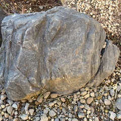 庭石(早めの取引希望)の画像