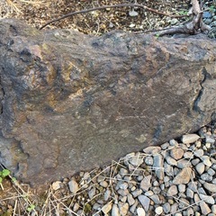 庭石(早めの取引希望)の画像