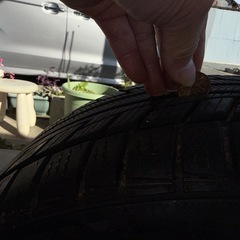 アバルト595 純正ホイール&スタッドレスの画像