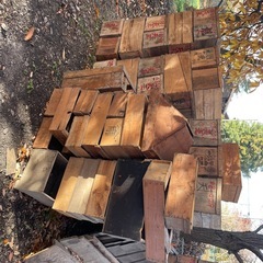 りんご木箱の画像