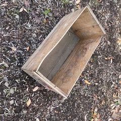 りんご木箱の画像