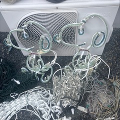 イルミネーションの画像