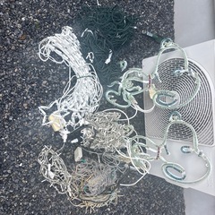 イルミネーションの画像