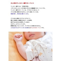 ラグカーペットウール100%
200×250の画像