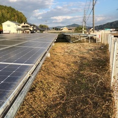 家まわりや空き地の木・雑草で日当たりが悪くなっていませんか…