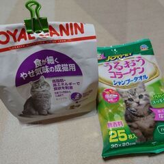 猫用流動食やシリンジ等の画像