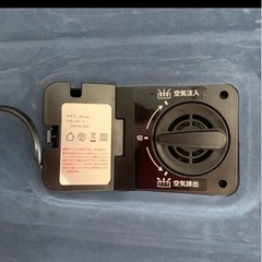 エアーベッド 100vポンプ内臓　ダブルサイズ ブルー アウトドア キャンプ 来客用の画像