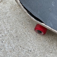 REPTILE　スケートボードの画像