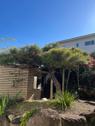 黒松　玄関　昇龍