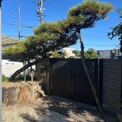 黒松　玄関　昇龍の画像