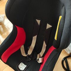 【無料】チャイルドシートとプールの画像