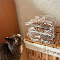 ネコドライフードの画像