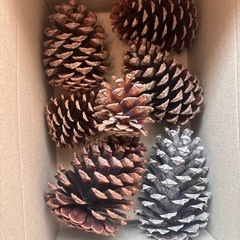 松ぼっくり クリスマス オーナメント リース 正月 10〜15cm サイズ他ありの画像