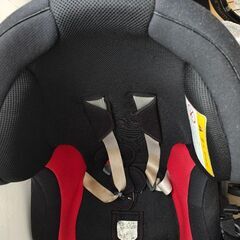 【無料】チャイルドシートとプールの画像