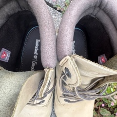 Timberland 6インチブーツの画像