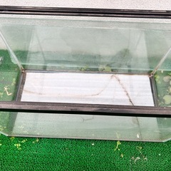 60cm水槽の画像