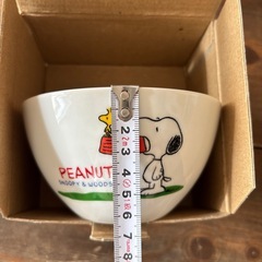 スヌーピーボウル
の画像