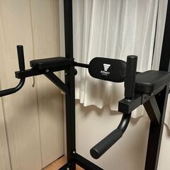 STEADY 懸垂マシン／チンニングスタンド／室内保管／引き取り限定の画像