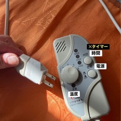 【取引中】《無料》小さめ電気カーペットの画像