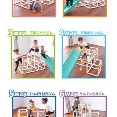 白いわんぱくジムの画像