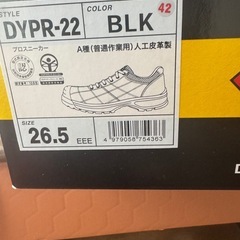 新品安全靴の画像