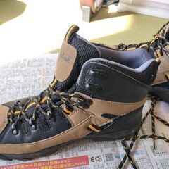 中古バイキングシューズの画像